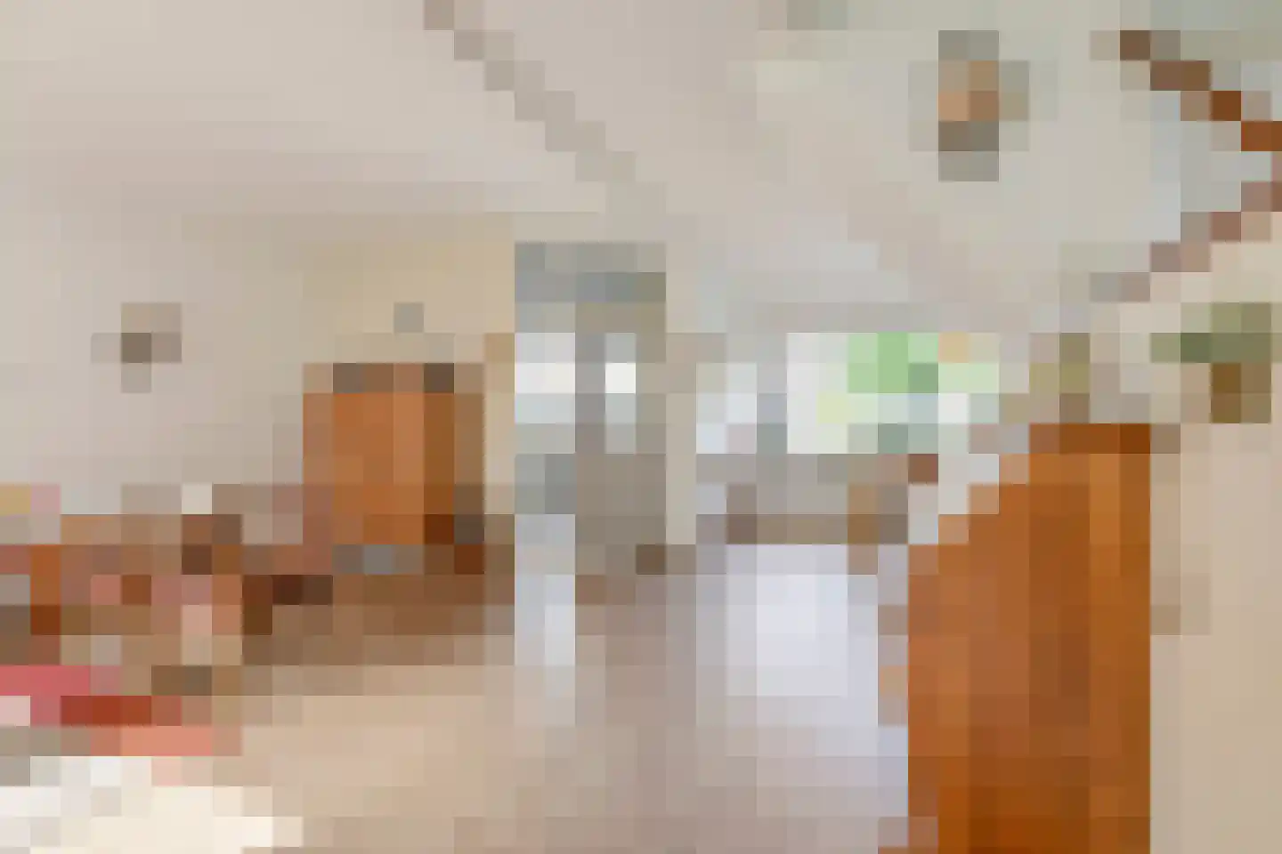 Lemoen 7 Huissen thumbnail 7