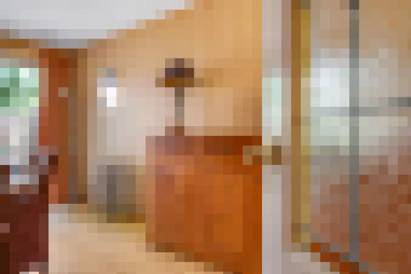 Lemoen 9 Huissen thumbnail 11
