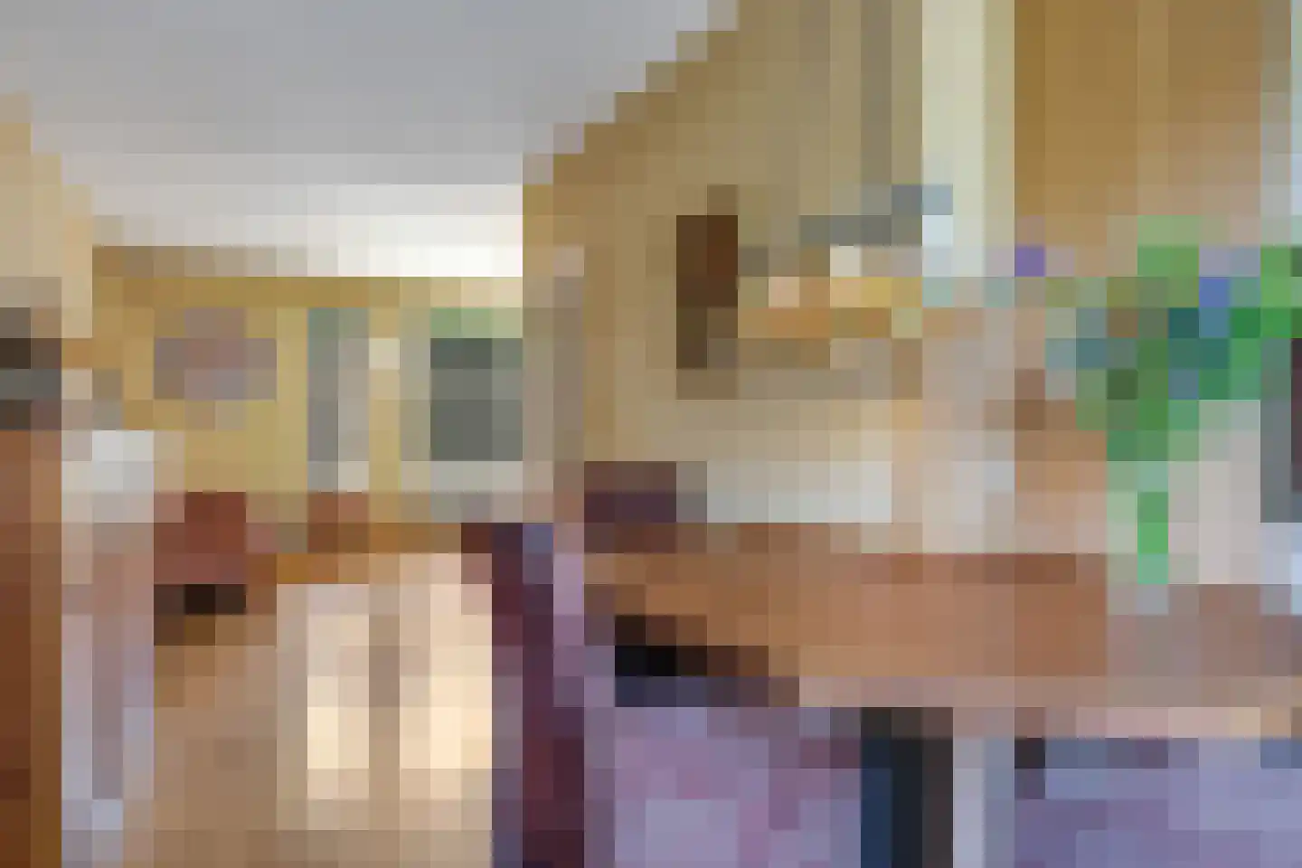 Lemoen 9 Huissen thumbnail 12