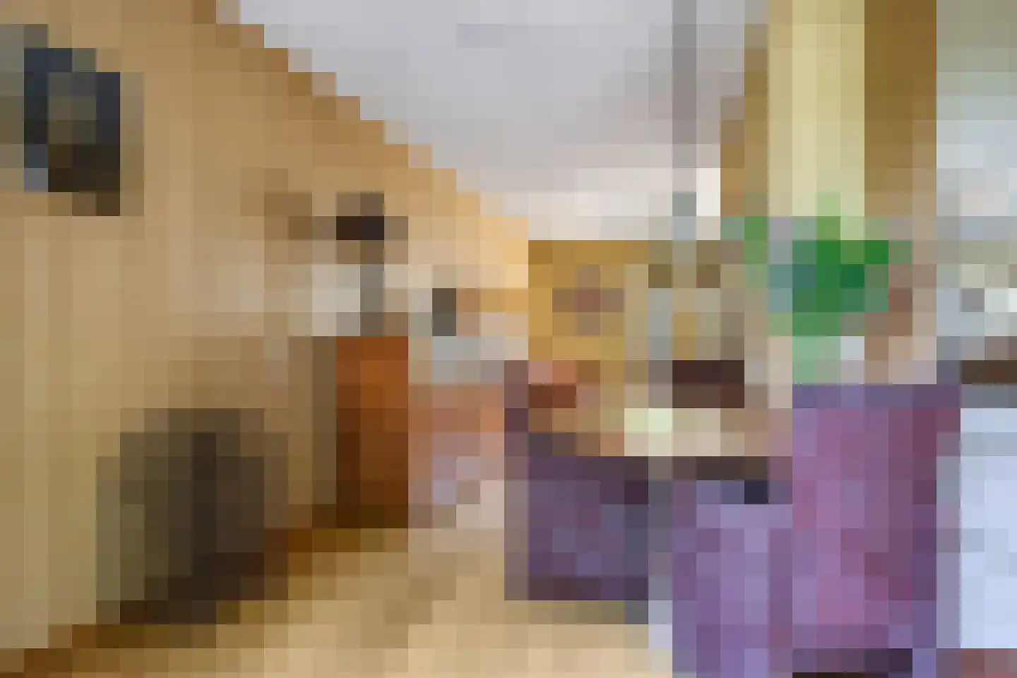 Lemoen 9 Huissen thumbnail 13