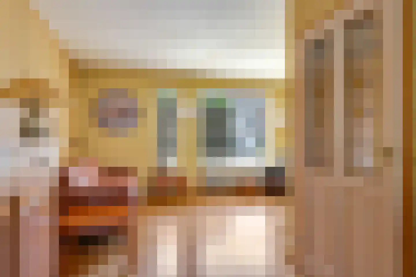 Lemoen 9 Huissen thumbnail 14