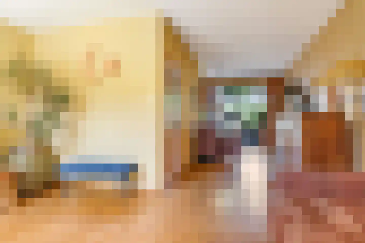 Lemoen 9 Huissen thumbnail 18