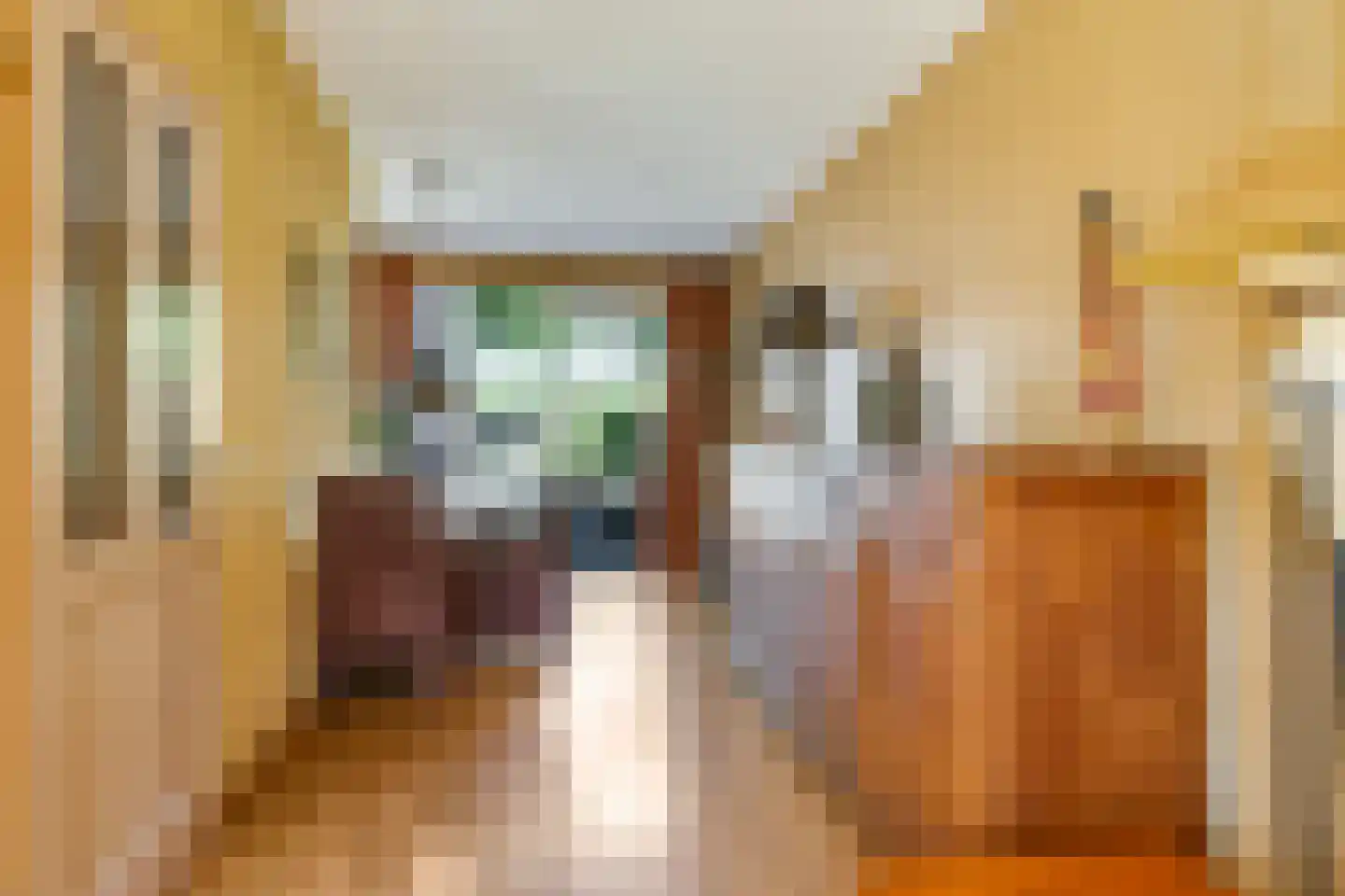 Lemoen 9 Huissen thumbnail 19