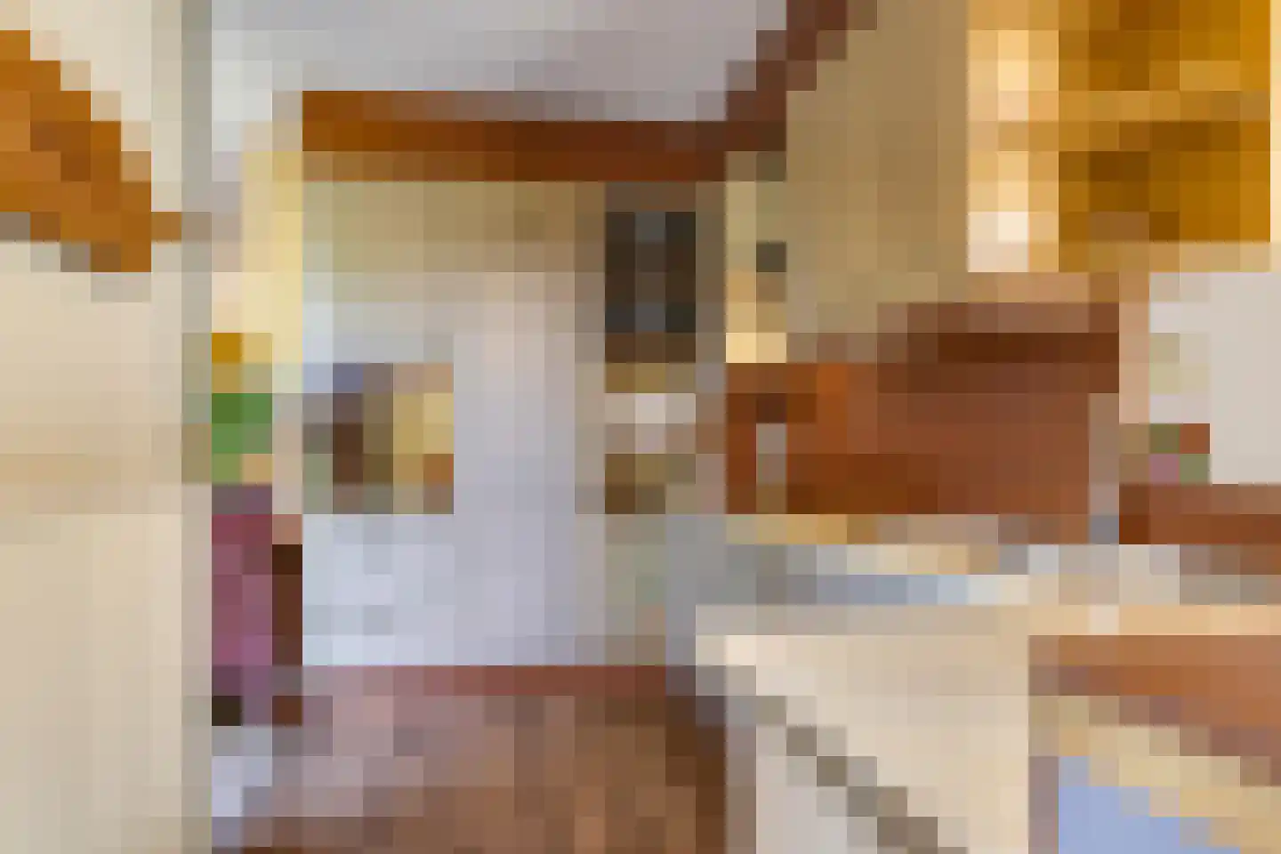 Lemoen 9 Huissen thumbnail 26
