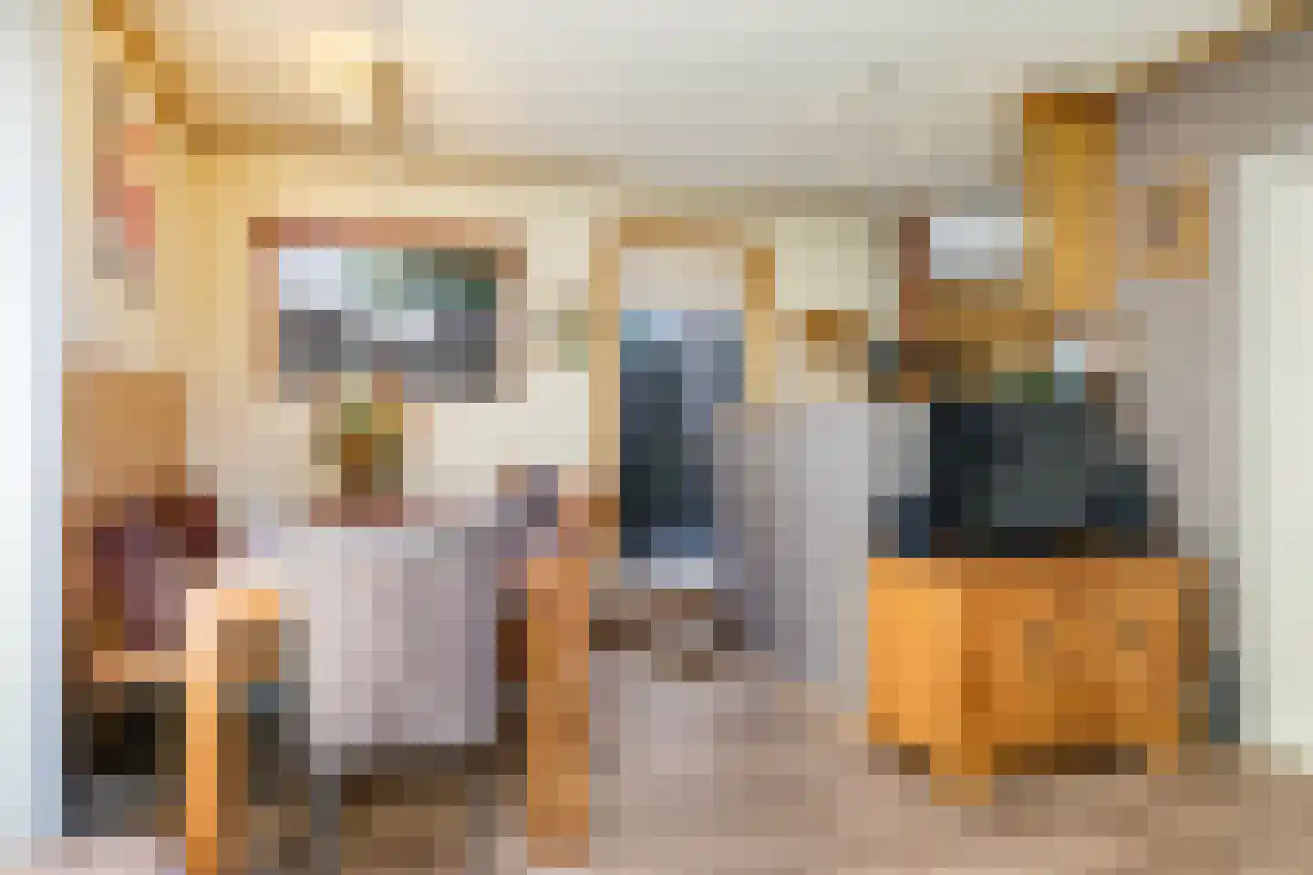 Lemoen 9 Huissen thumbnail 28