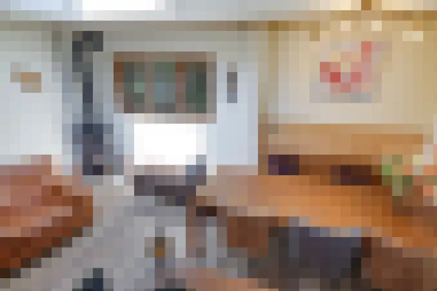 Lemoen 9 Huissen thumbnail 31