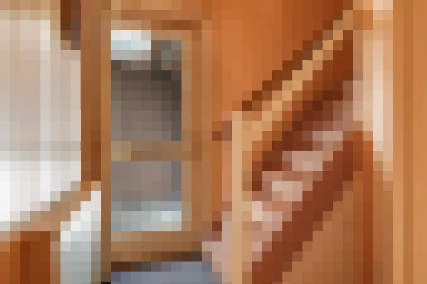 Lemoen 9 Huissen thumbnail 32