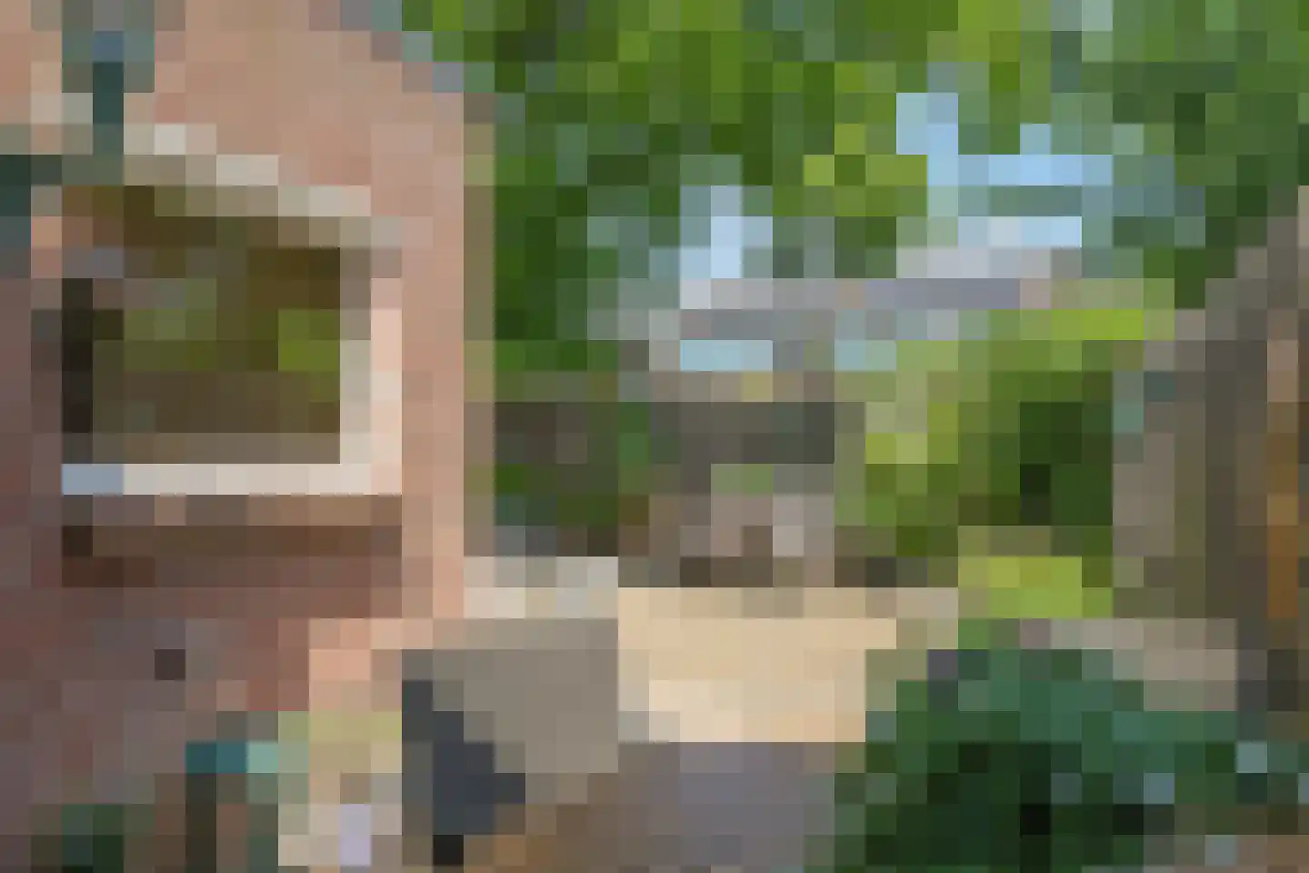 Lemoen 9 Huissen thumbnail 34
