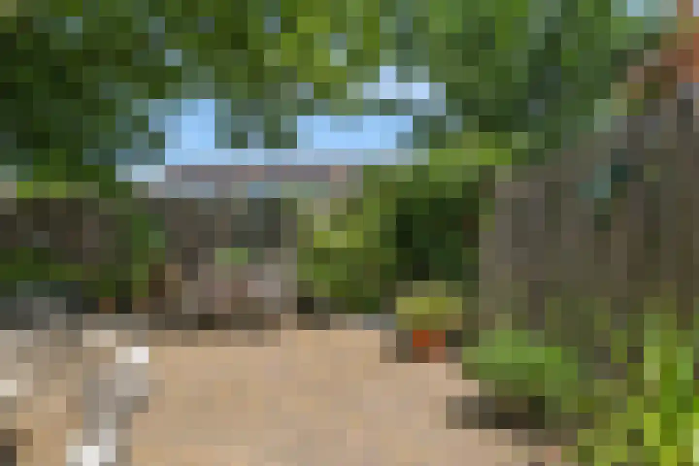 Lemoen 9 Huissen thumbnail 36