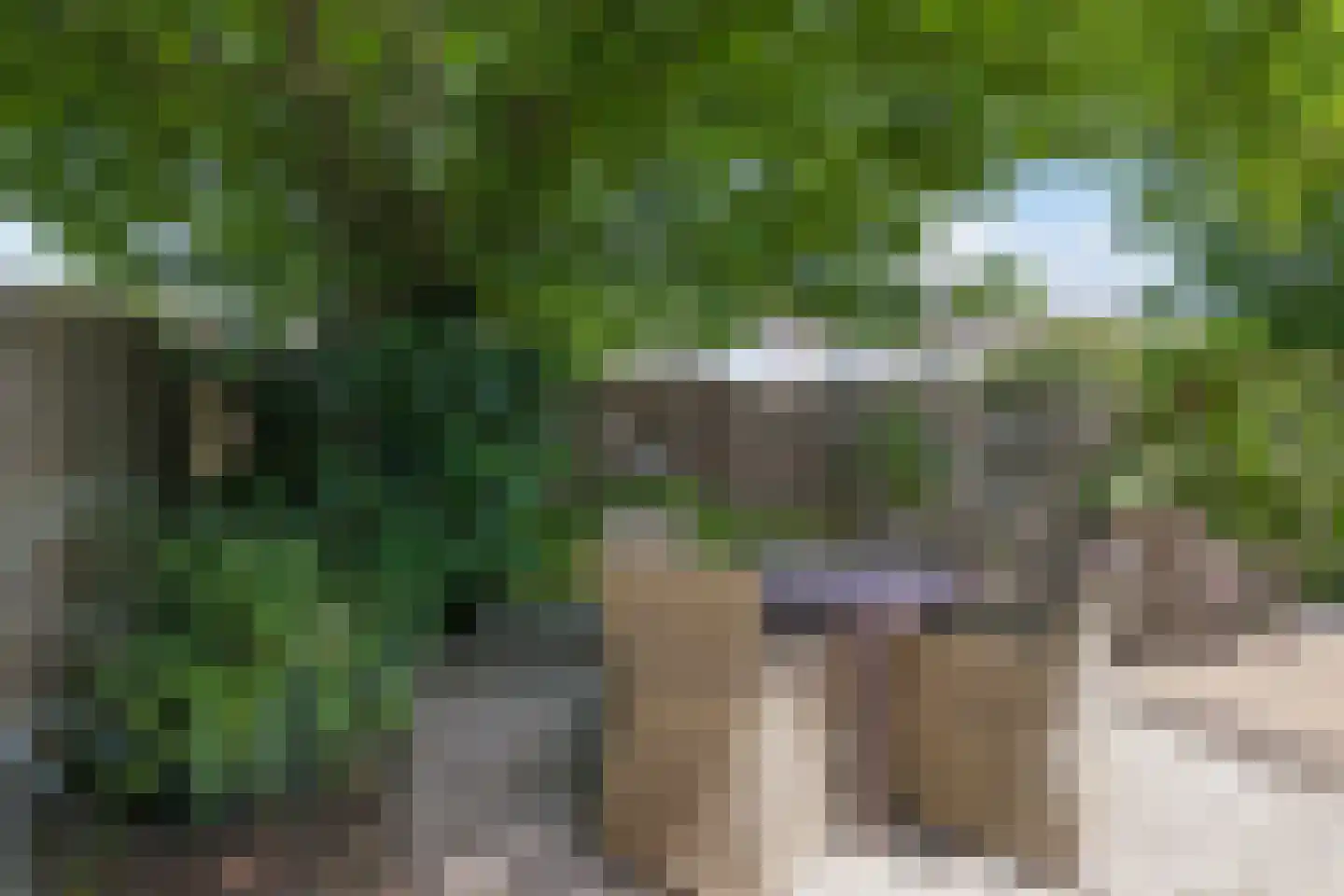 Lemoen 9 Huissen thumbnail 38