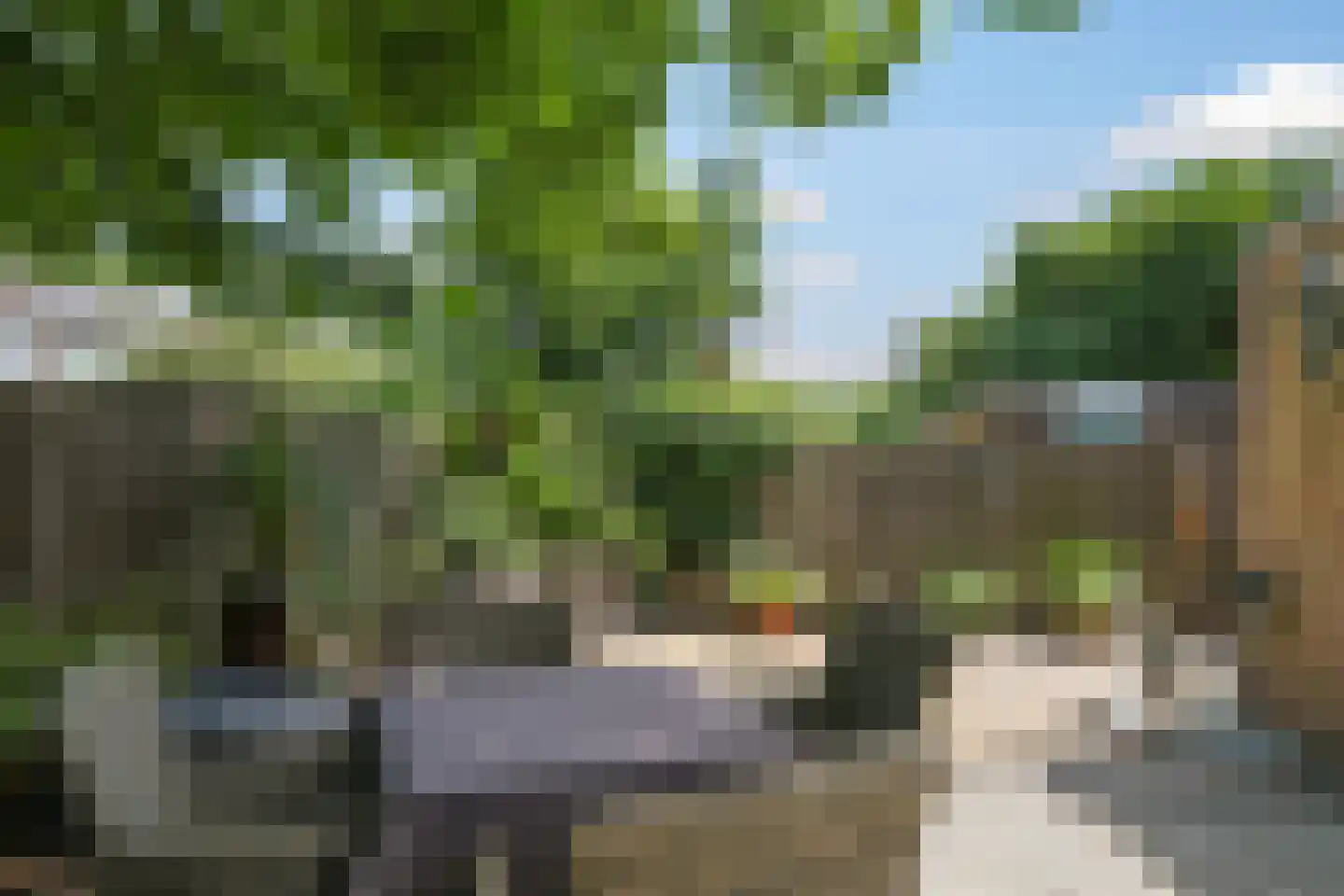 Lemoen 9 Huissen thumbnail 39