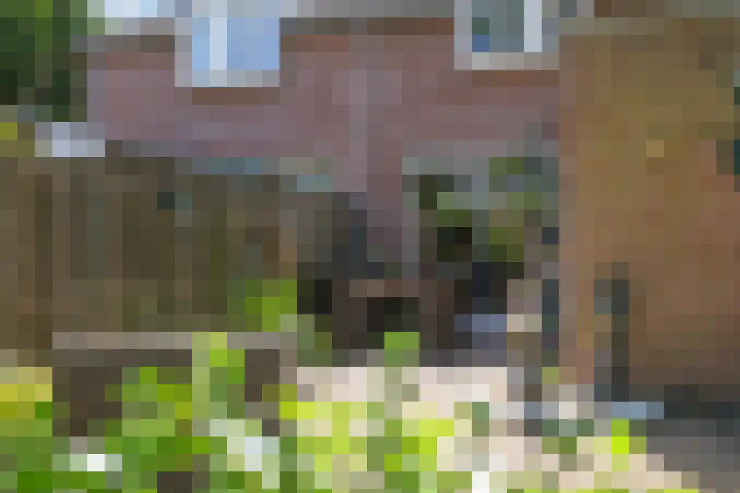 Lemoen 9 Huissen thumbnail 42