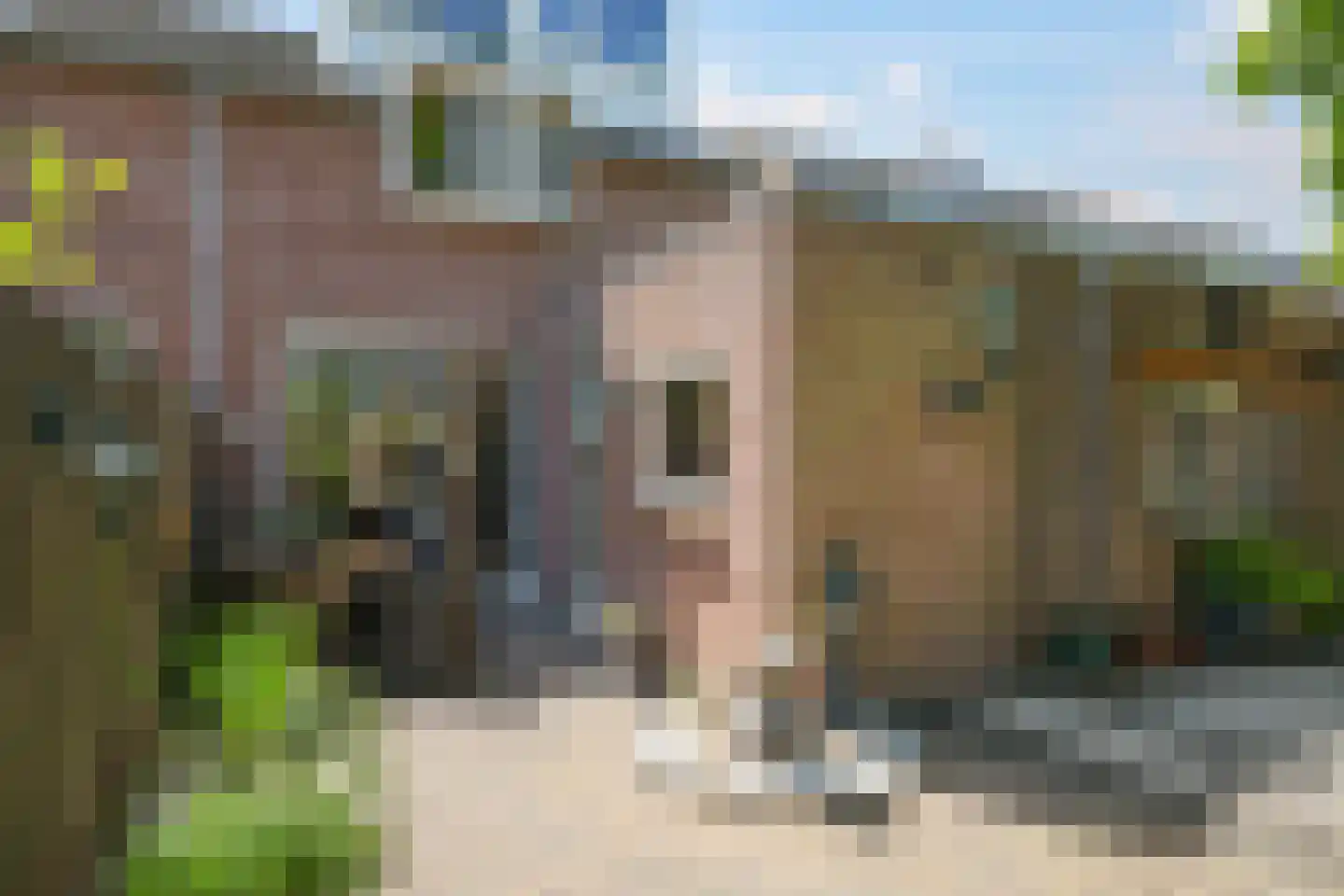Lemoen 9 Huissen thumbnail 43