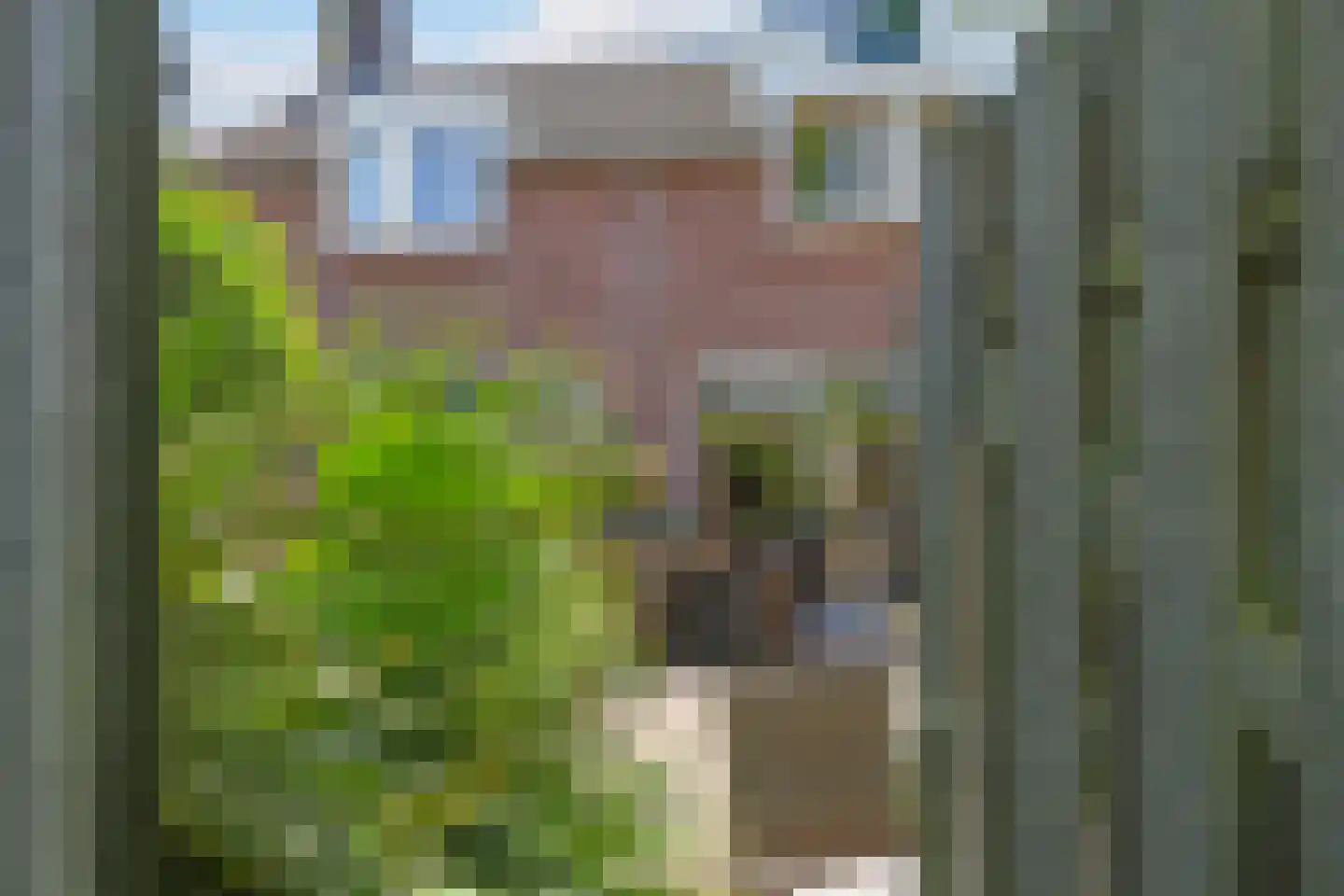 Lemoen 9 Huissen thumbnail 44