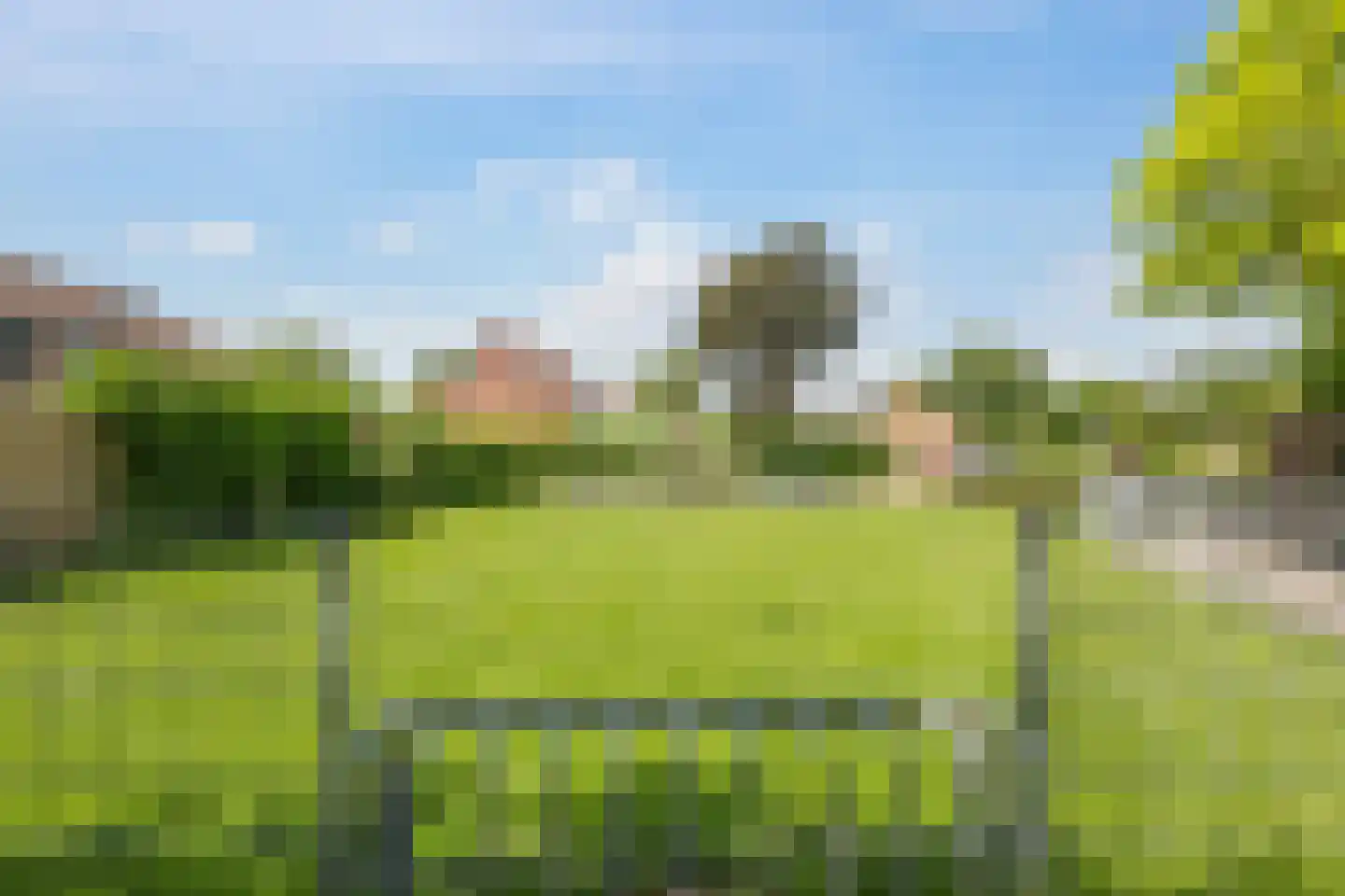 Lemoen 9 Huissen thumbnail 62