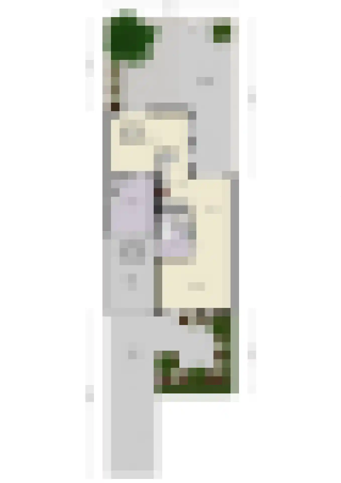 Lemoen 9 Huissen thumbnail 67
