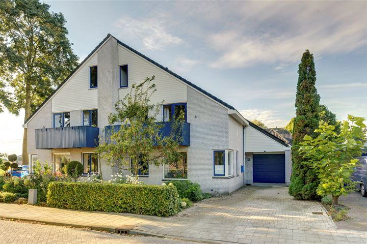 Lemoenappel 10 in Duiven foto