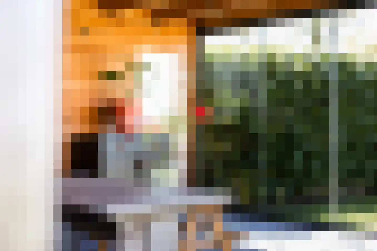 Lemoenappel 11 St.-Annaparochie thumbnail 50