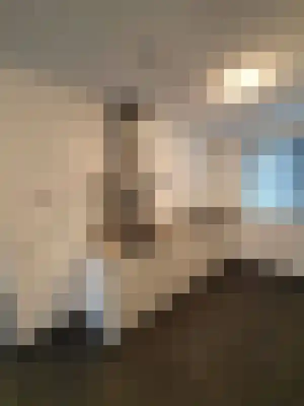Lemoenappel 13 Lith thumbnail 5