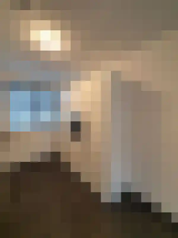 Lemoenappel 13 Lith thumbnail 6