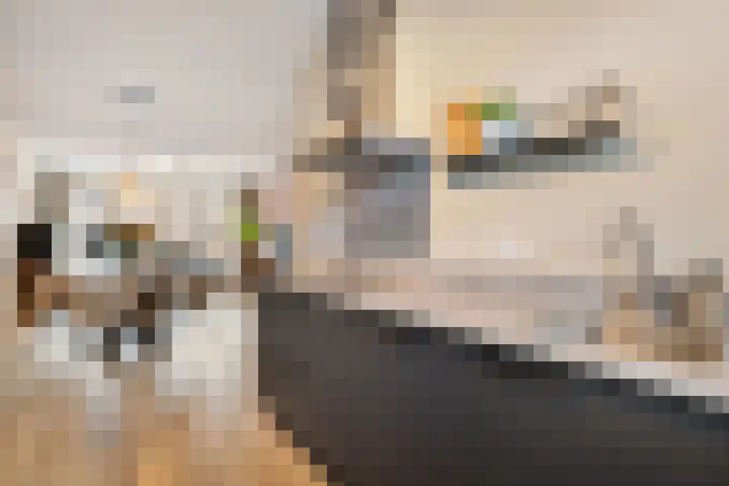 Lemoenappel 22 Lith thumbnail 17