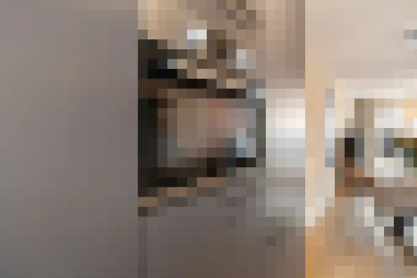 Lemoenappel 22 Lith thumbnail 18