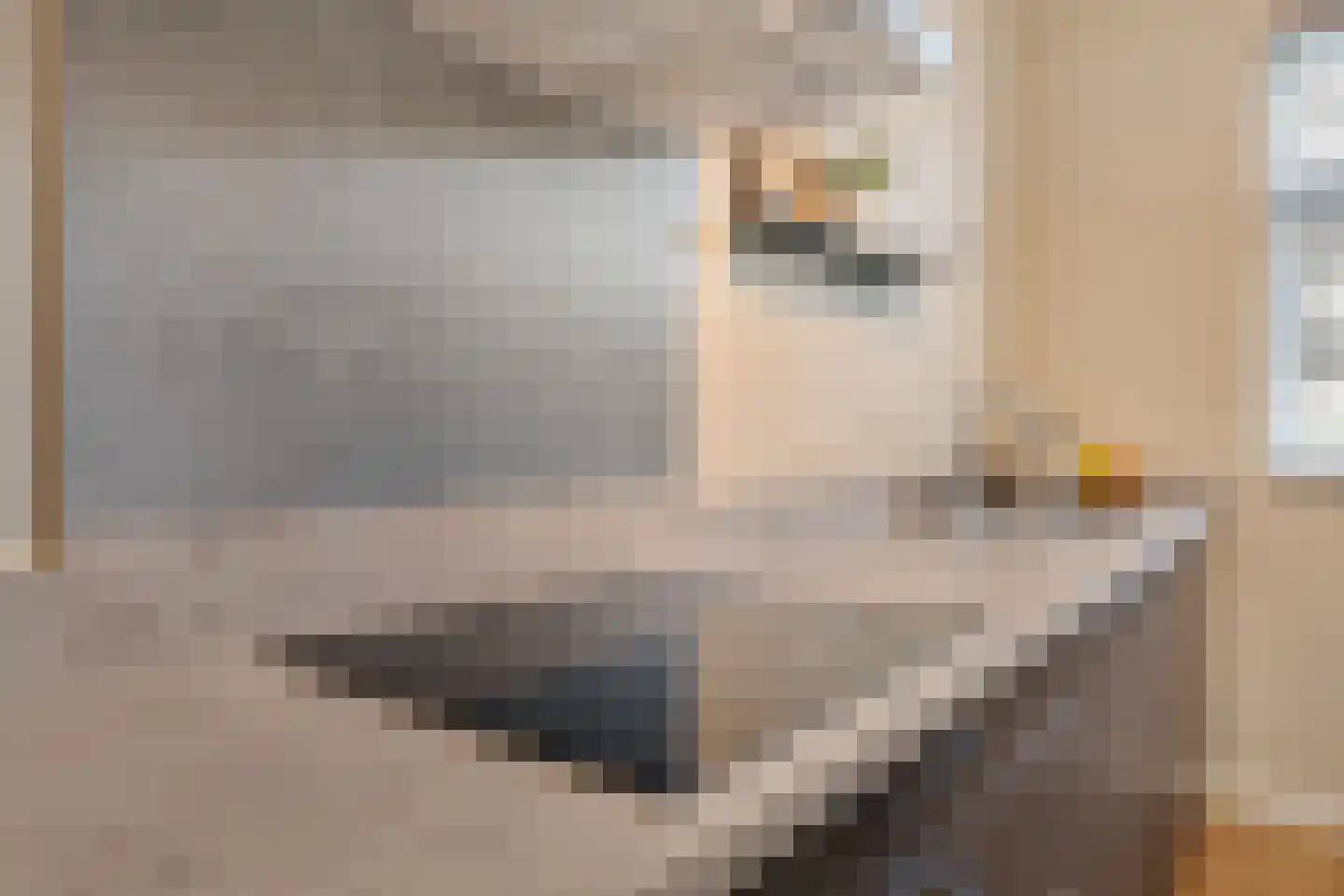 Lemoenappel 22 Lith thumbnail 19