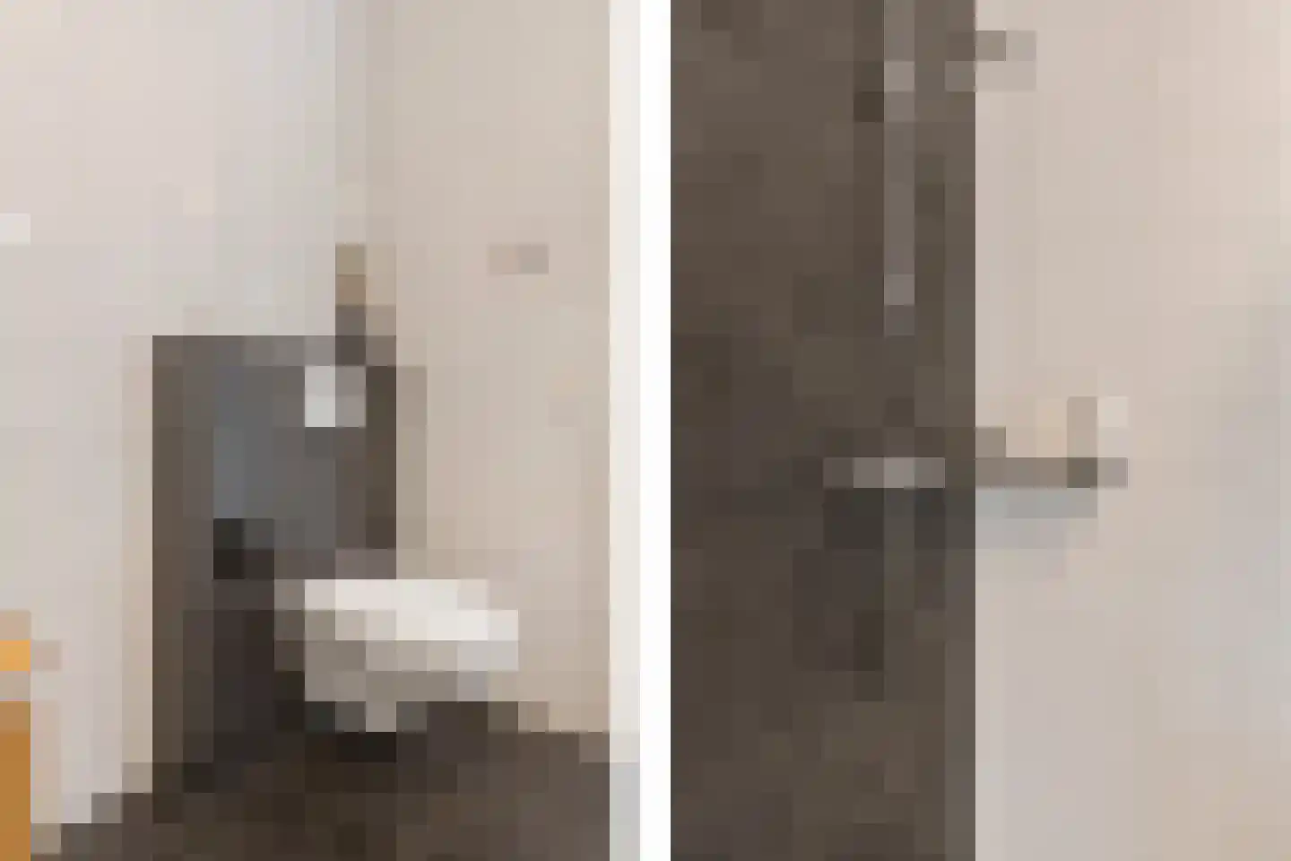 Lemoenappel 22 Lith thumbnail 28