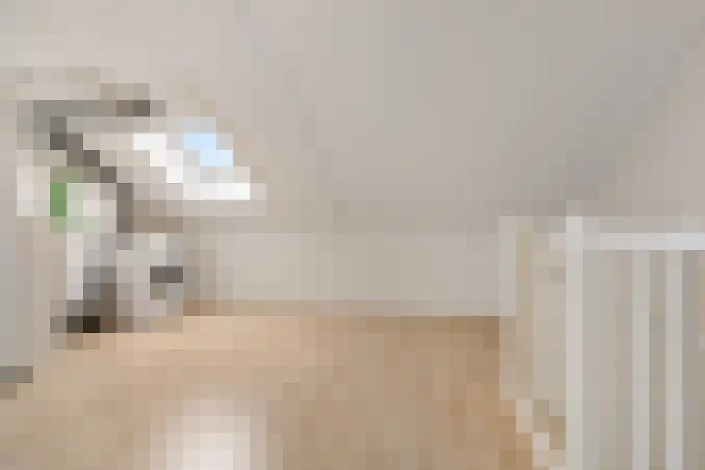 Lemoenappel 22 Lith thumbnail 31