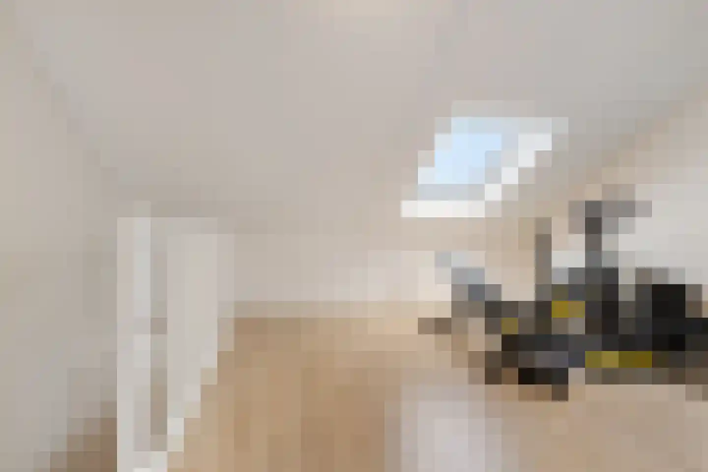 Lemoenappel 22 Lith thumbnail 32