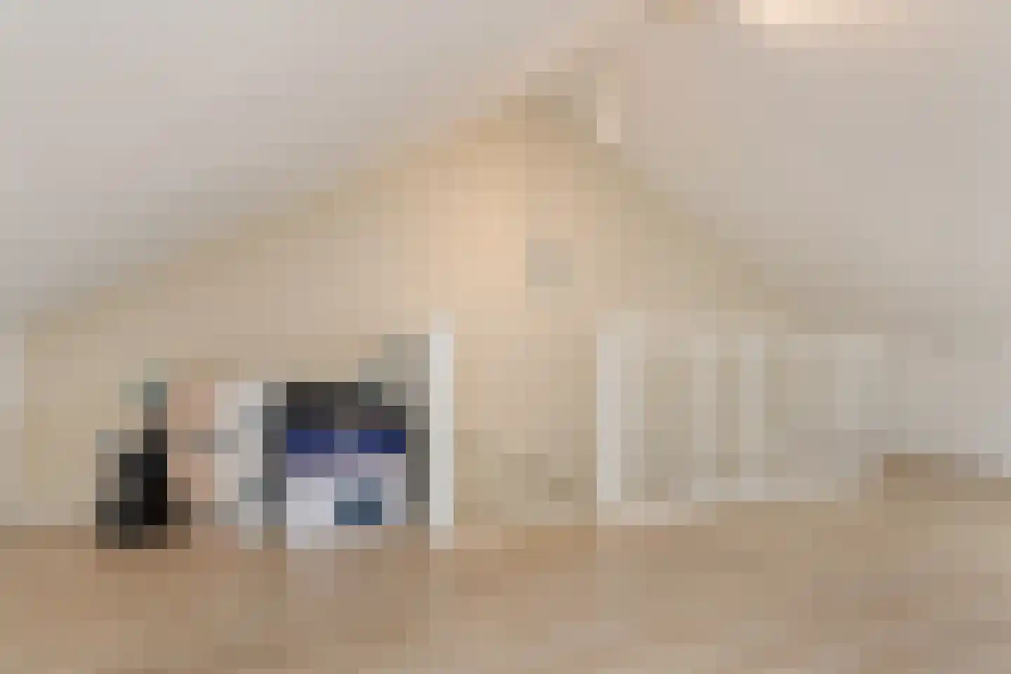 Lemoenappel 22 Lith thumbnail 33