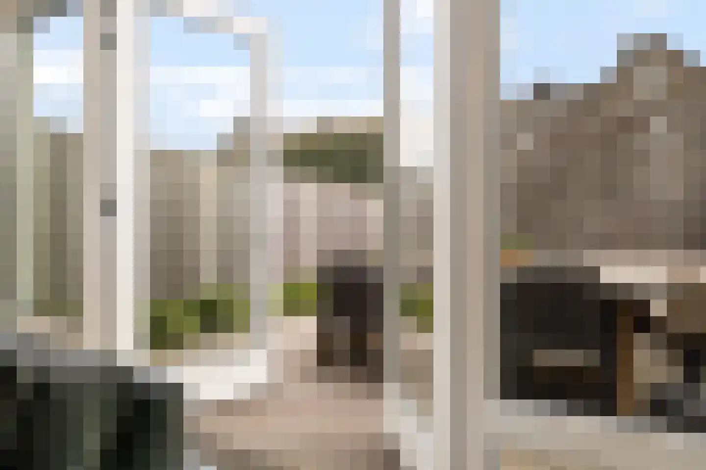 Lemoenappel 22 Lith thumbnail 35