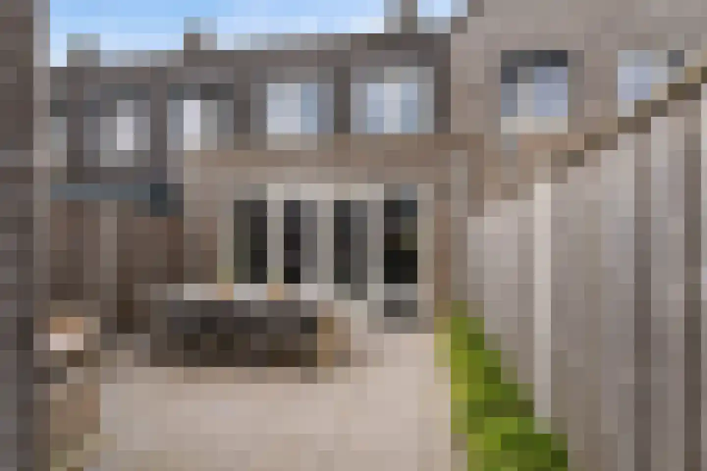 Lemoenappel 22 Lith thumbnail 38