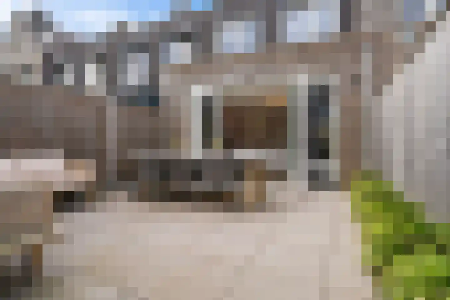 Lemoenappel 22 Lith thumbnail 39
