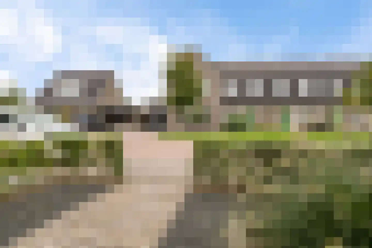 Lemoenappel 22 Lith thumbnail 9