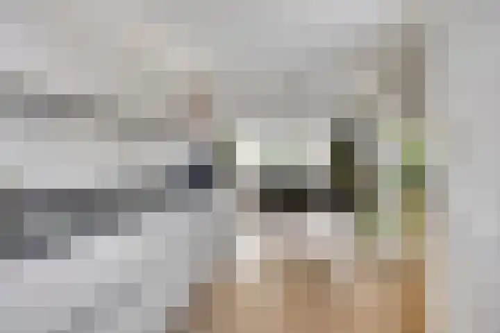 Lemoenappel 4 Lith thumbnail 11