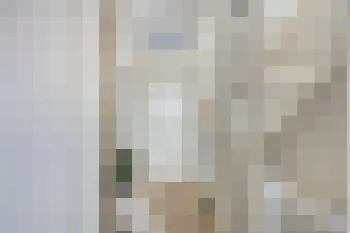 Lemoenappel 4 Lith thumbnail 15