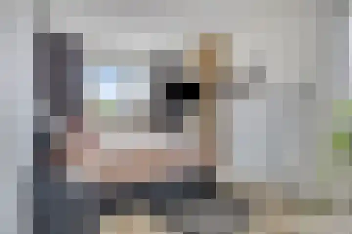Lemoenappel 4 Lith thumbnail 19