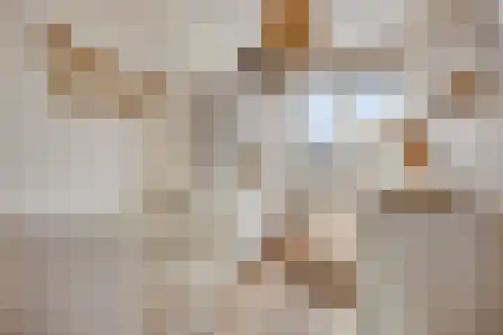 Lemoenappel 4 Lith thumbnail 21