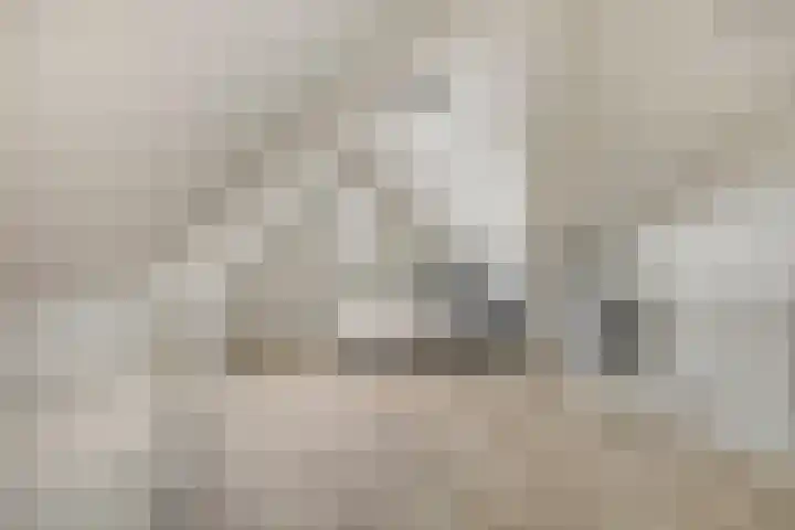 Lemoenappel 4 Lith thumbnail 26