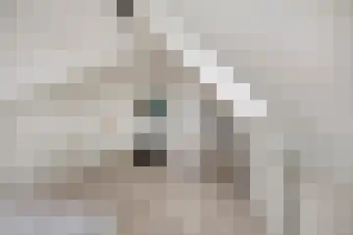 Lemoenappel 4 Lith thumbnail 27