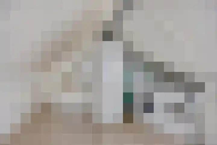 Lemoenappel 4 Lith thumbnail 29