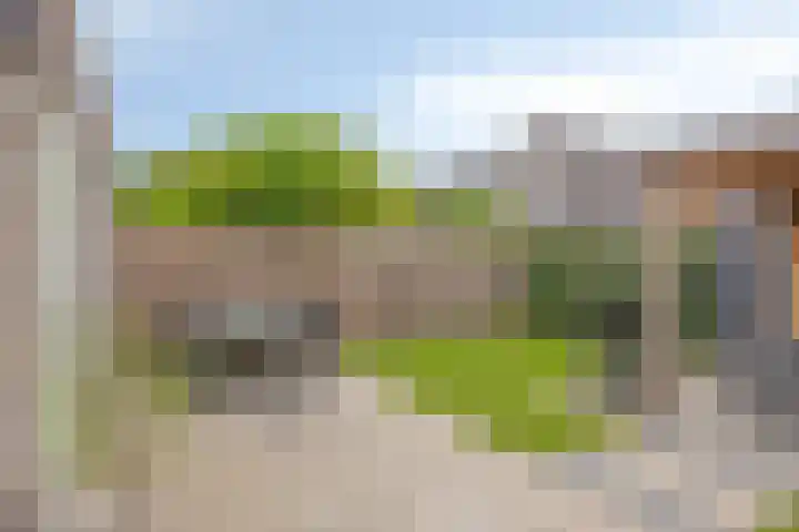 Lemoenappel 4 Lith thumbnail 31