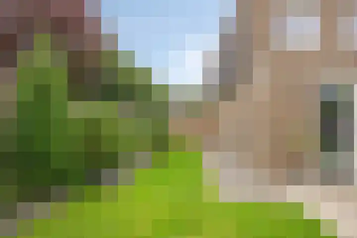 Lemoenappel 4 Lith thumbnail 32