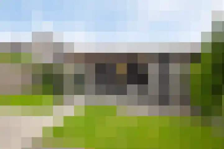 Lemoenappel 4 Lith thumbnail 33