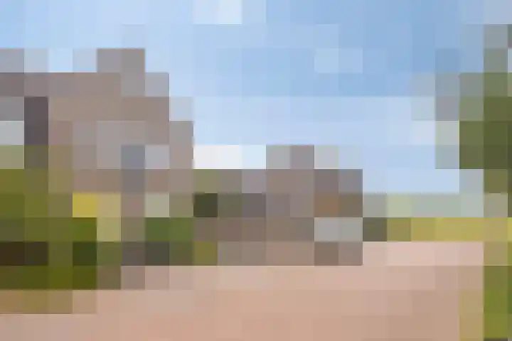 Lemoenappel 4 Lith thumbnail 37