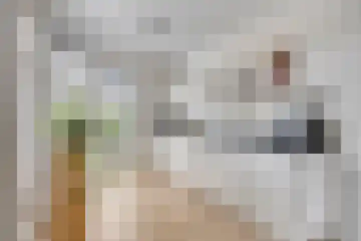 Lemoenappel 4 Lith thumbnail 4