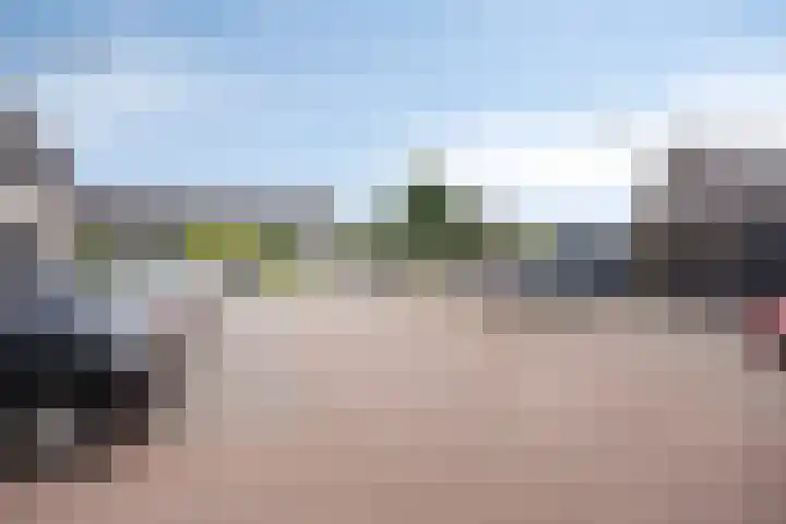 Lemoenappel 4 Lith thumbnail 40
