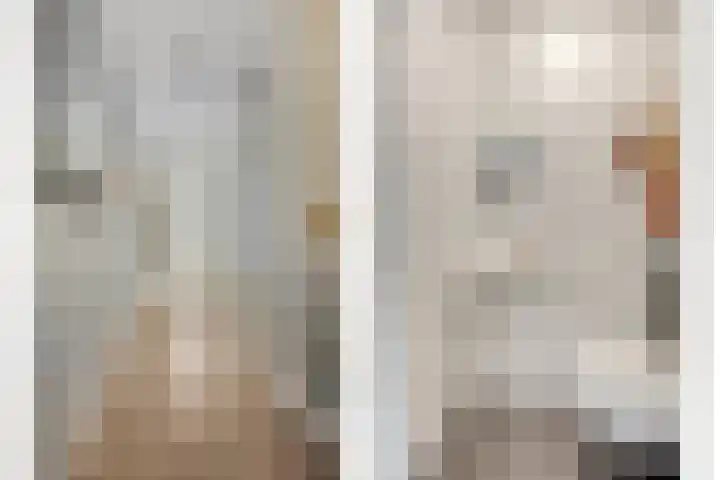 Lemoenappel 4 Lith thumbnail 5