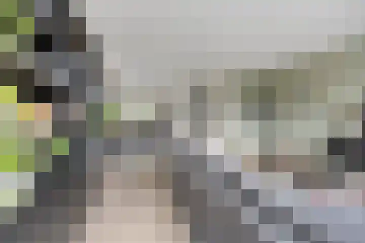 Lemoenappel 4 Lith thumbnail 7